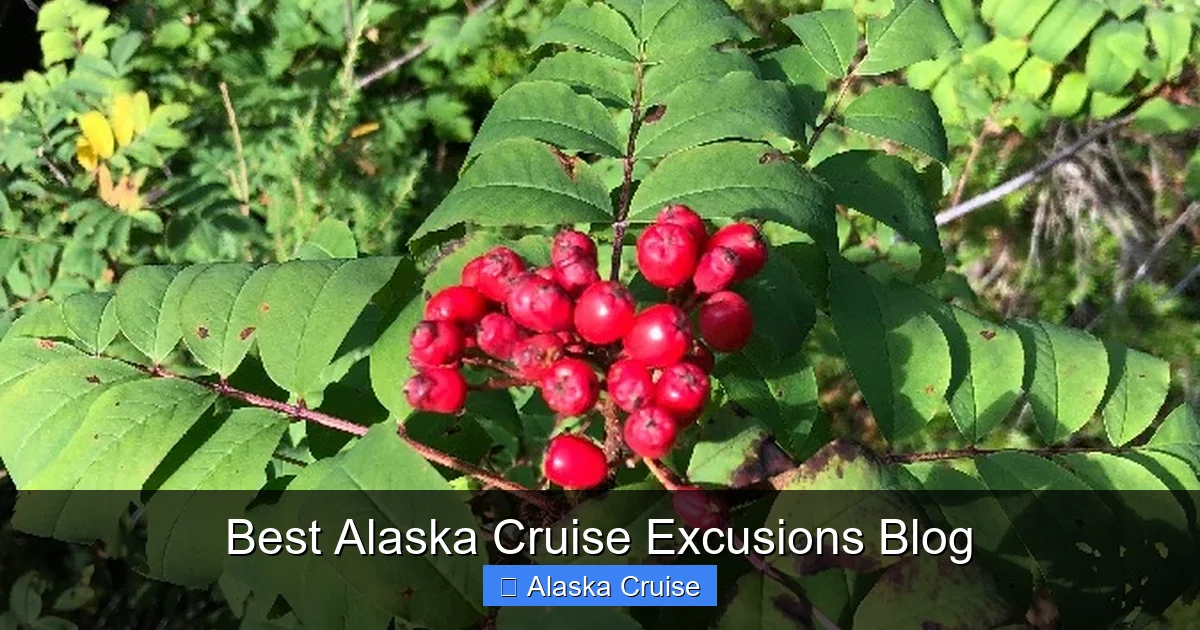 Best Alaska Cruise Excusions Blog