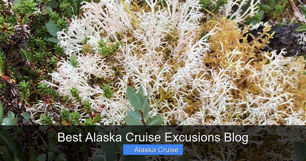 Best Alaska Cruise Excusions Blog
