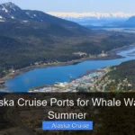 Best Alaska Cruise Ports for Whale Watches in Summer