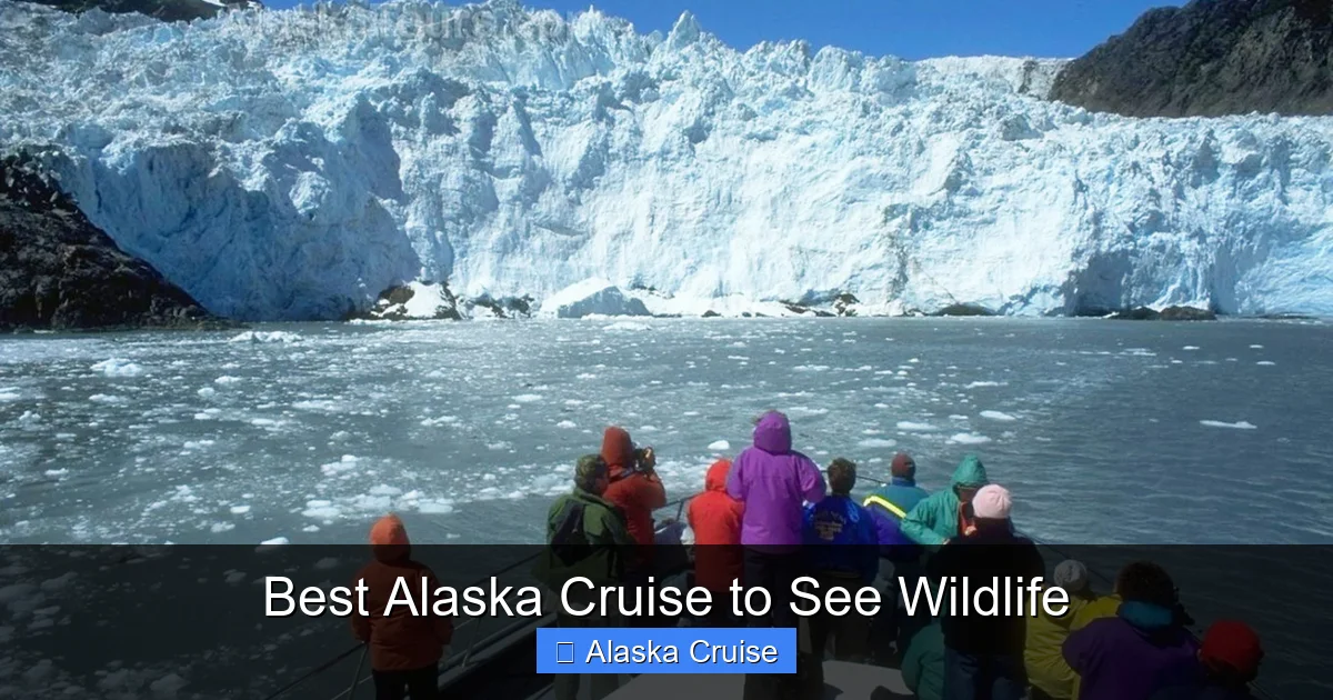 Best Alaska Cruise to See Wildlife