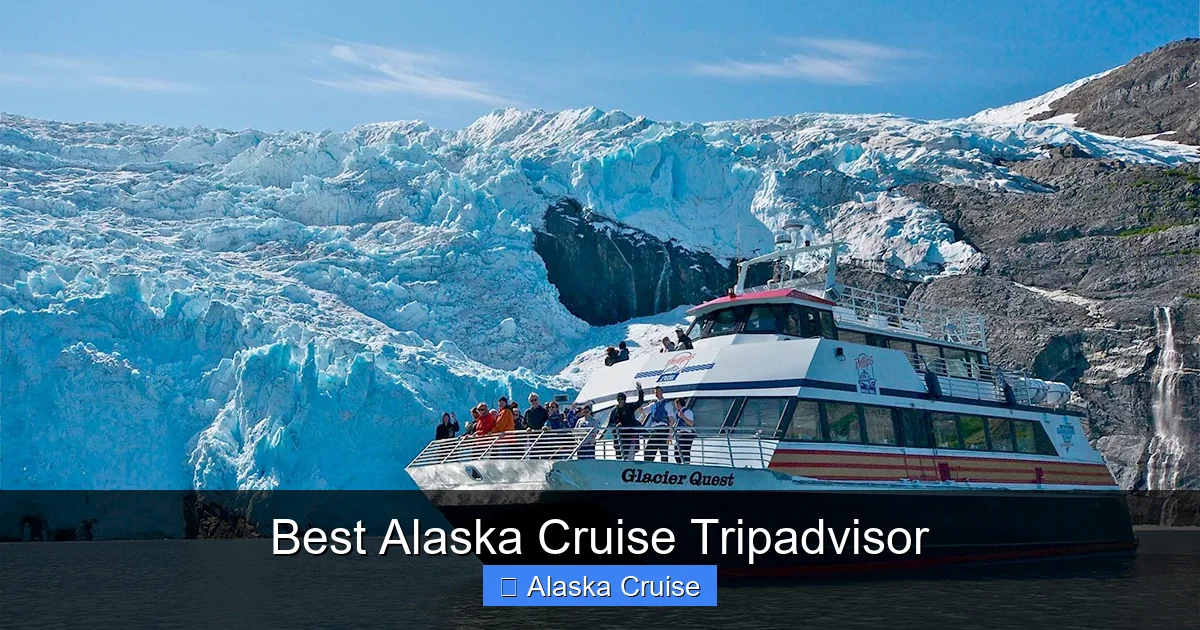 Best Alaska Cruise Tripadvisor