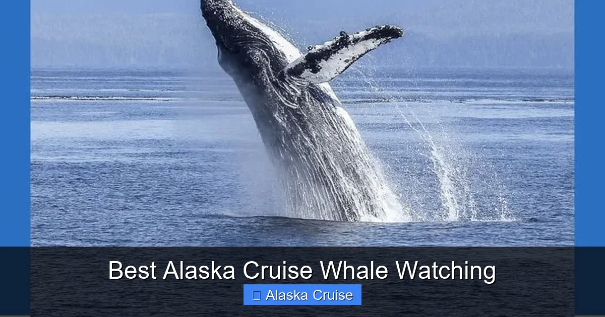 Best Alaska Cruise Whale Watching