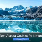 Best Alaska Cruises for Nature