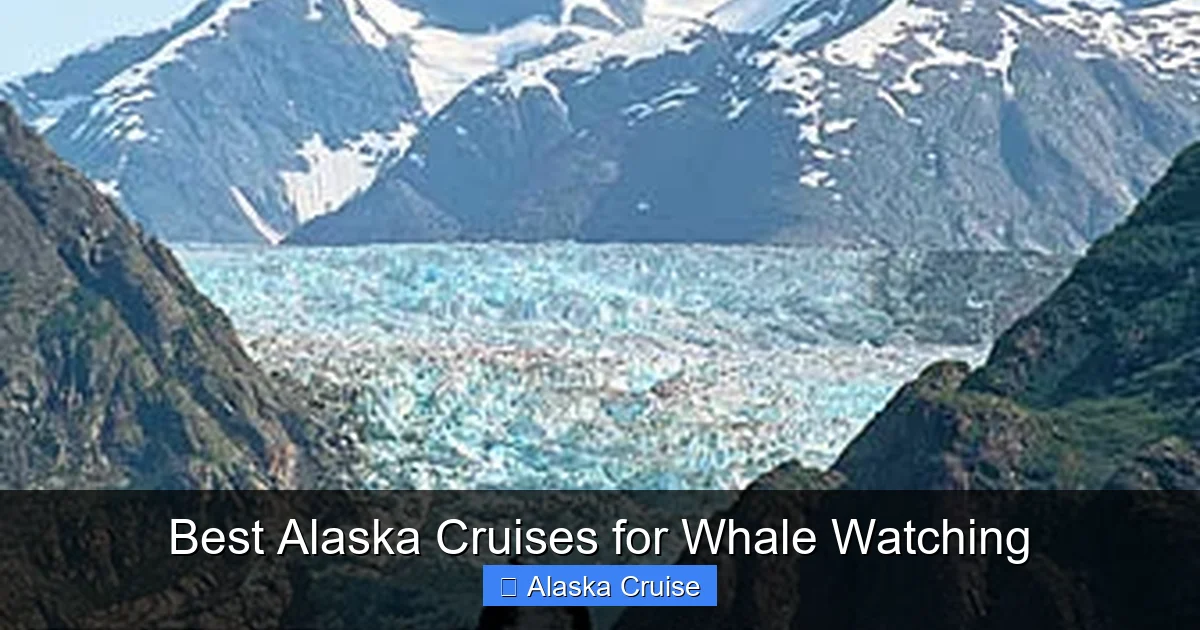 Best Alaska Cruises for Whale Watching