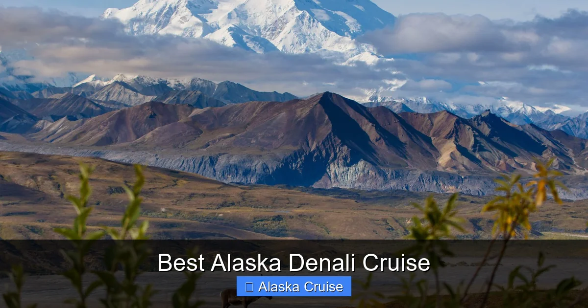 Best Alaska Denali Cruise