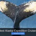 Best Alaska Expedition Cruises
