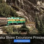 Best Alaska Shore Excursions Princess Cruise