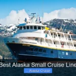 Best Alaska Small Cruise Line