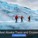 Best Alaska Tours and Cruises