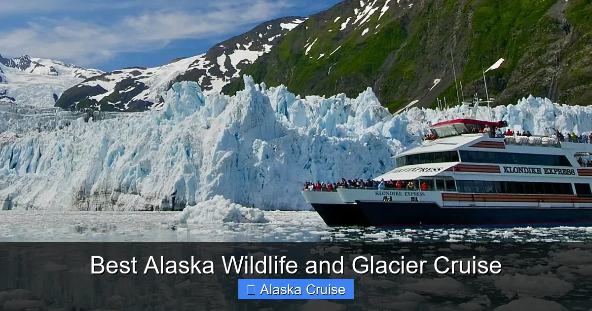 Best Alaska Wildlife and Glacier Cruise