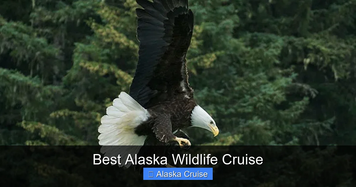 Best Alaska Wildlife Cruise