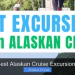 Best Alaskan Cruise Excursions
