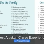 Best Alaskan Cruise Experience
