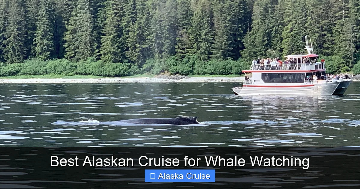 Best Alaskan Cruise for Whale Watching