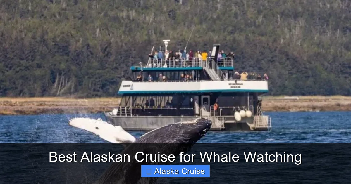 Best Alaskan Cruise for Whale Watching