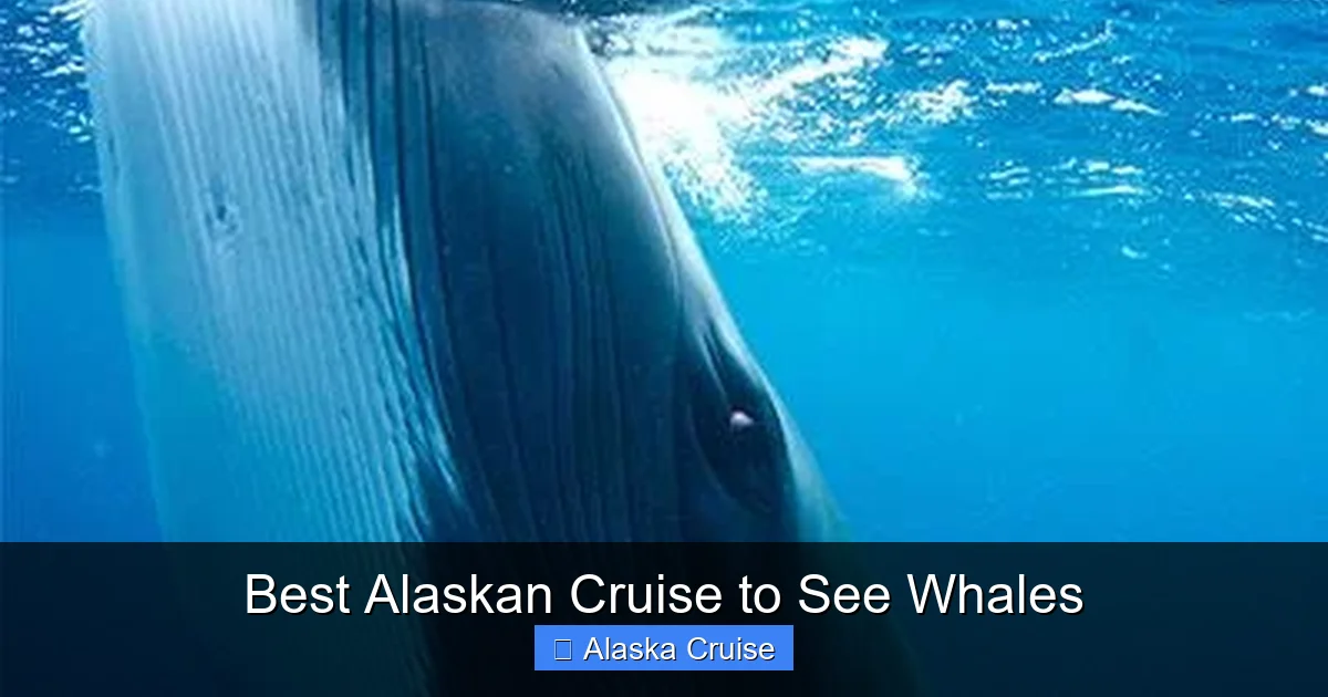 Best Alaskan Cruise to See Whales