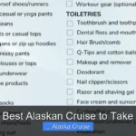 Best Alaskan Cruise to Take