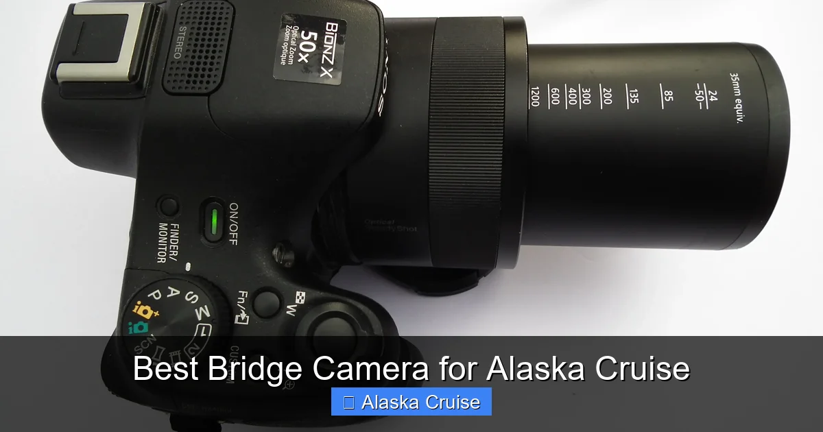 Best Bridge Camera for Alaska Cruise