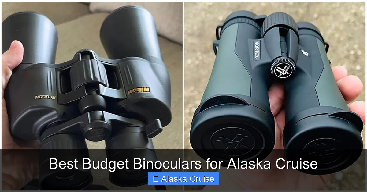 Best Budget Binoculars for Alaska Cruise