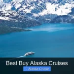 Best Buy Alaska Cruises