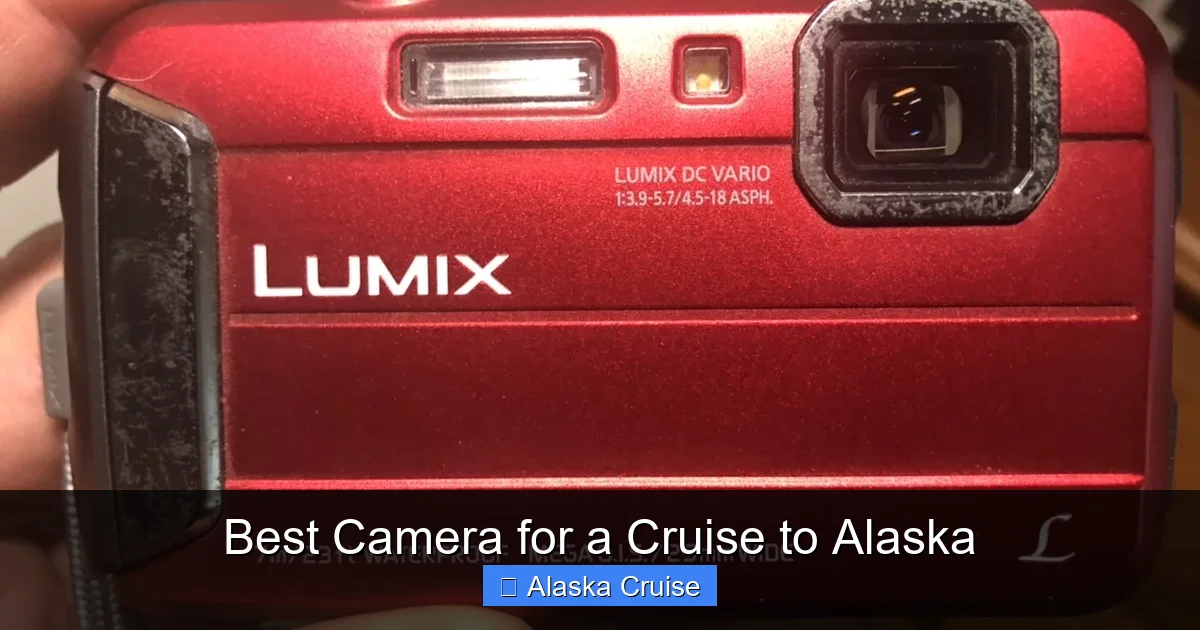 Best Camera for a Cruise to Alaska