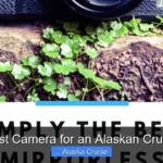 Best Camera for an Alaskan Cruise
