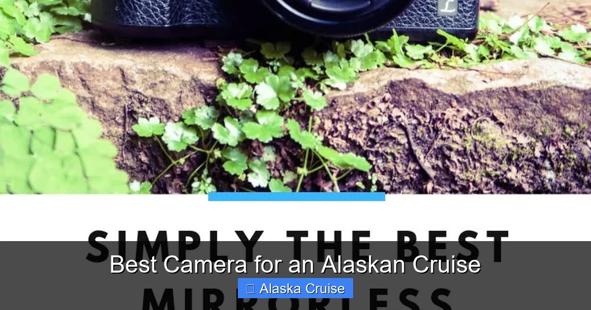 Best Camera for an Alaskan Cruise
