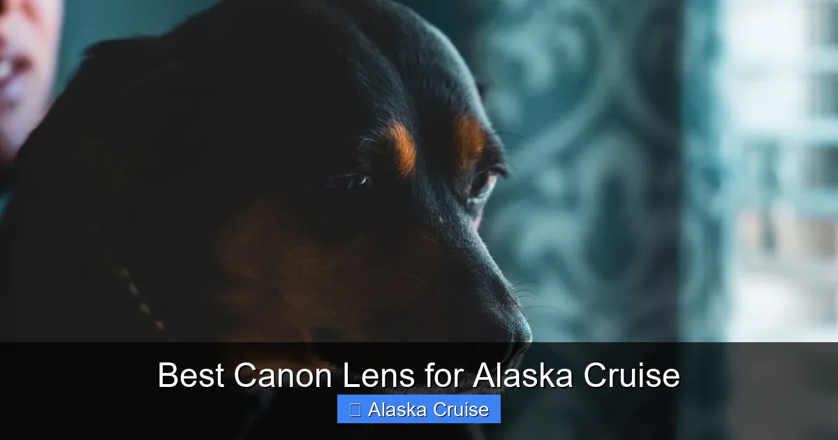 Best Canon Lens for Alaska Cruise