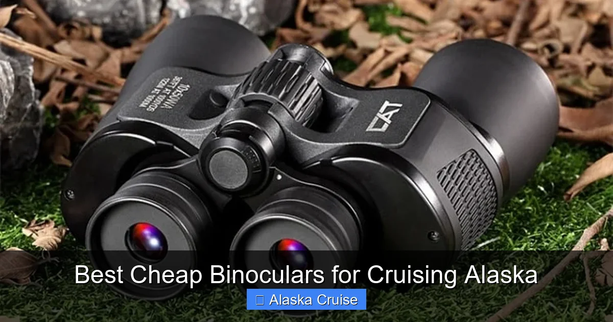 Best Cheap Binoculars for Cruising Alaska