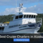 Best Cruise Charters in Alaska
