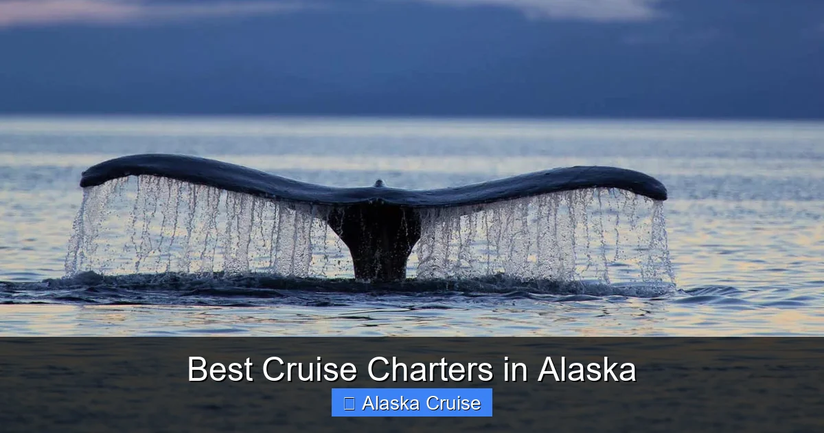 Best Cruise Charters in Alaska