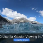 Best Cruise for Glacier Viewing in Alaska