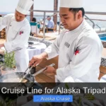 Best Cruise Line for Alaska Tripadvisor