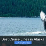 Best Cruise Lines in Alaska