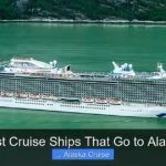 Best Cruise Ships That Go to Alaska