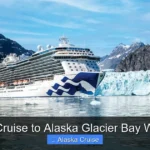 Best Cruise to Alaska Glacier Bay Wildlife