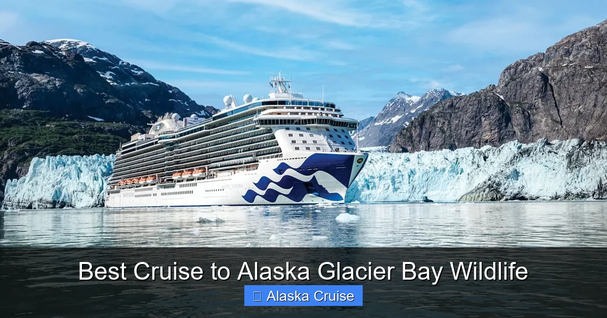 Best Cruise to Alaska Glacier Bay Wildlife