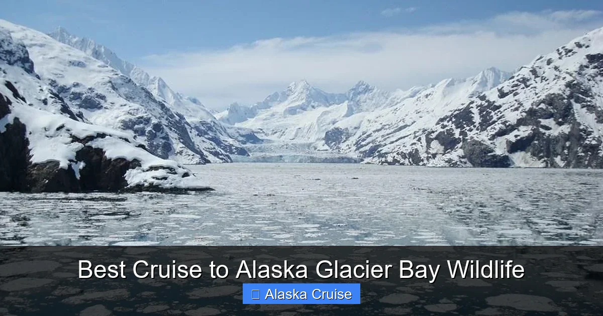 Best Cruise to Alaska Glacier Bay Wildlife