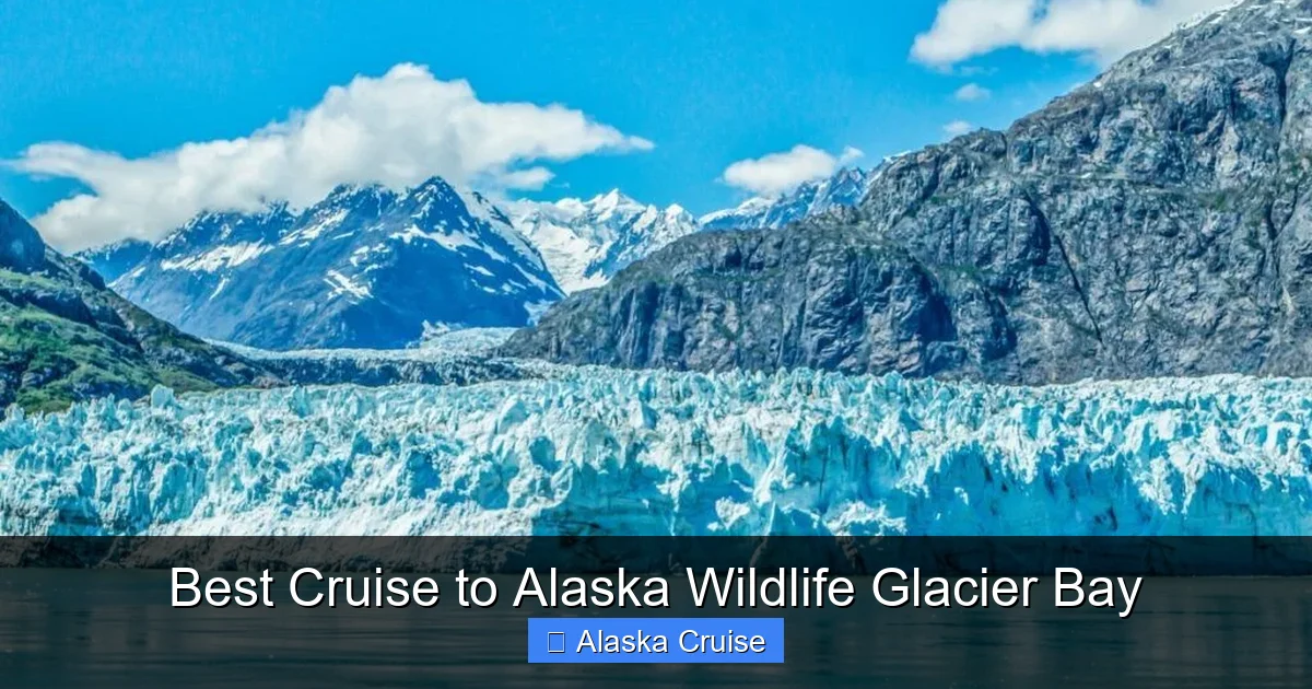 Best Cruise to Alaska Wildlife Glacier Bay
