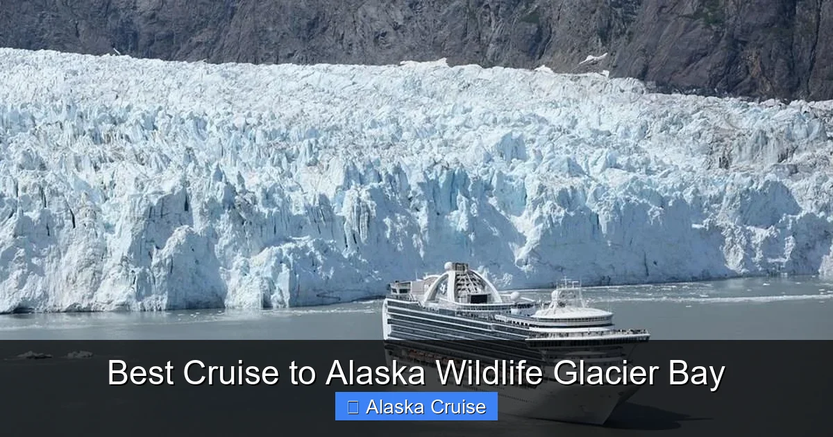 Best Cruise to Alaska Wildlife Glacier Bay