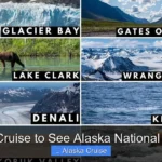 Best Cruise to See Alaska National Parks