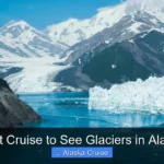 Best Cruise to See Glaciers in Alaska