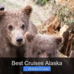 Best Cruises Alaska