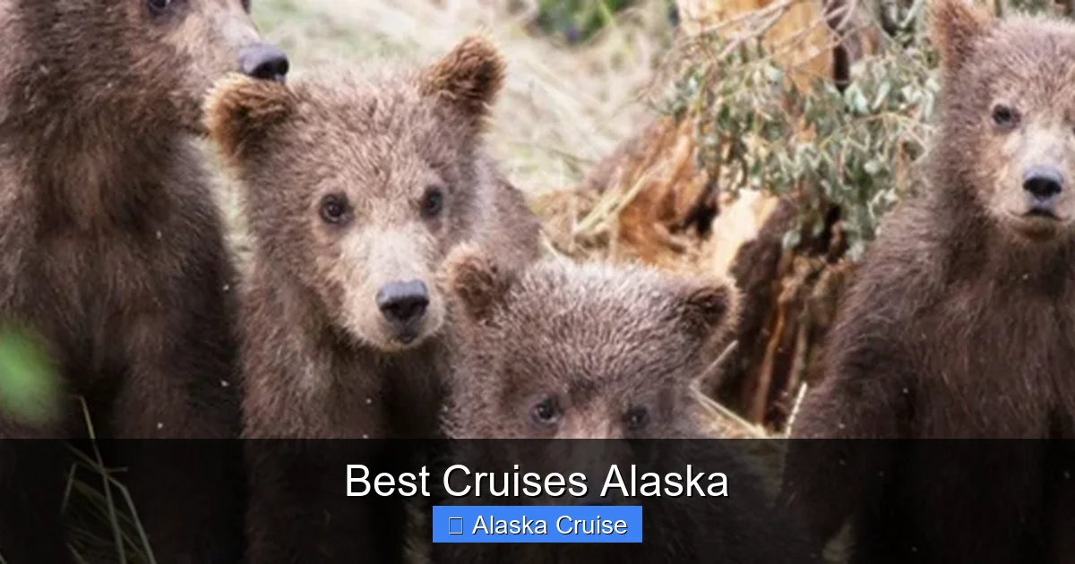 Best Cruises Alaska