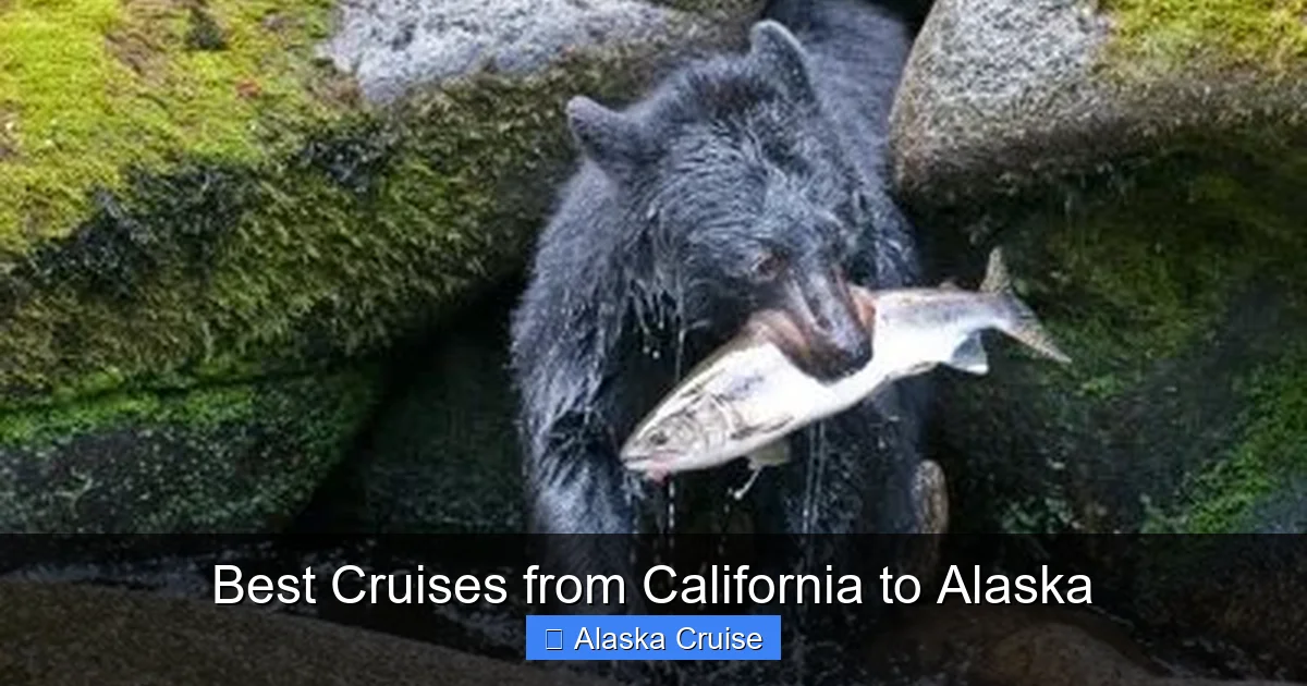Best Cruises from California to Alaska