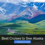 Best Cruises to See Alaska