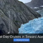 Best Day Cruises in Seward Alaska