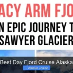 Best Day Fjord Cruise Alaska