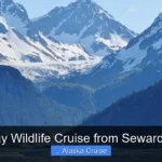 Best Day Wildlife Cruise from Seward Alaska