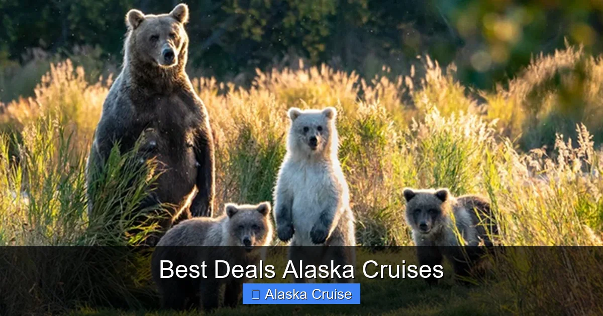 Best Deals Alaska Cruises